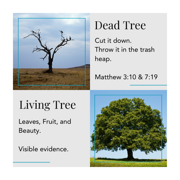 17.png