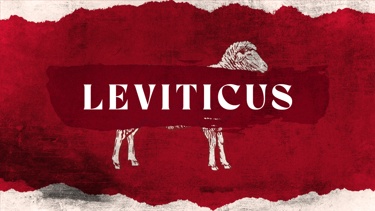 Leviticus Life Is In The Blood Lamb Illustration - CMG Template.png