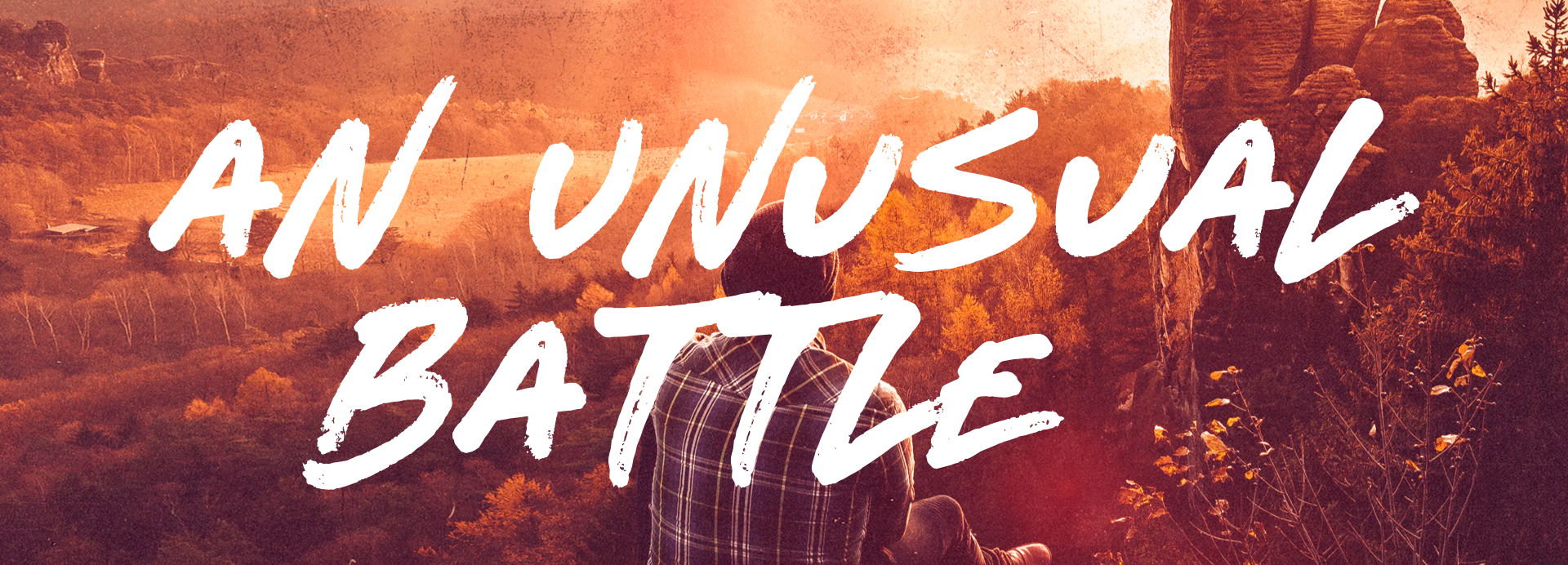 banner.jpg