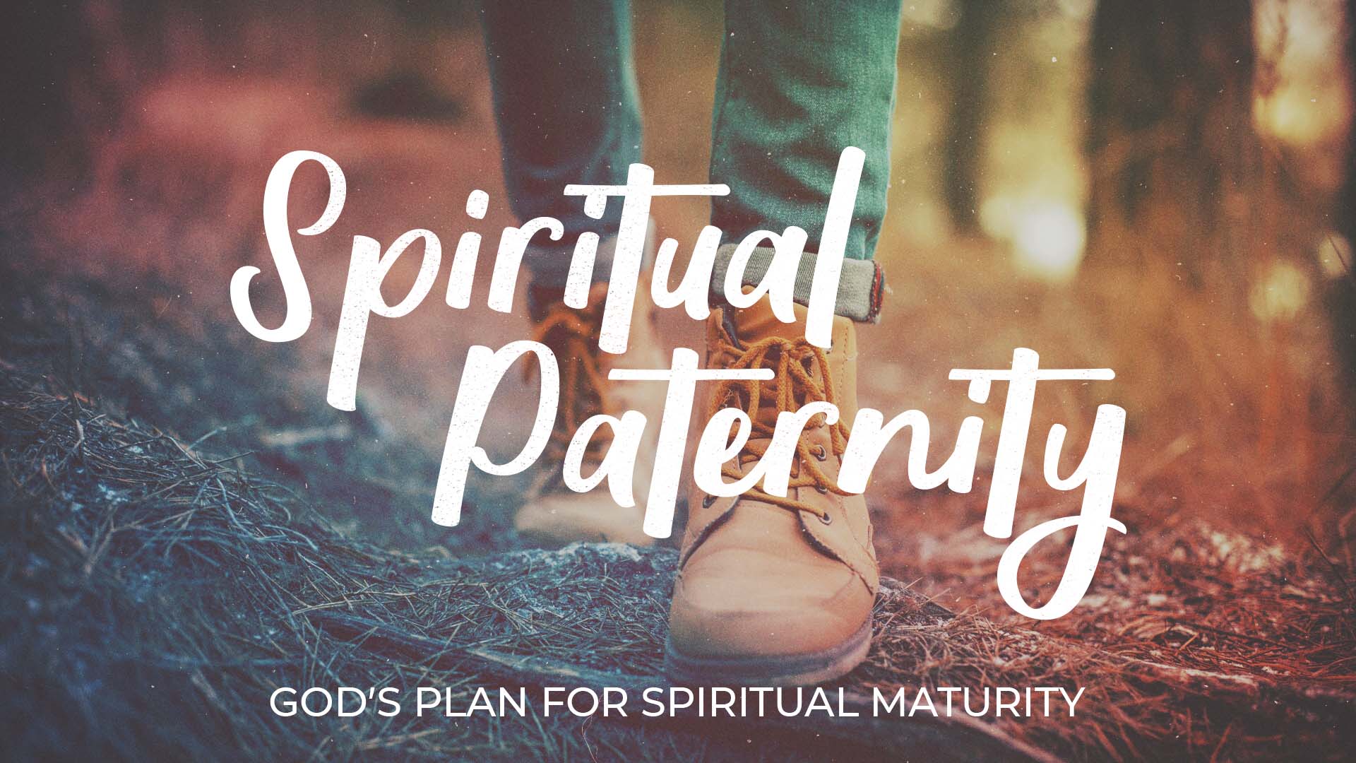 SPIRITUAL PATERNITY WD.jpg