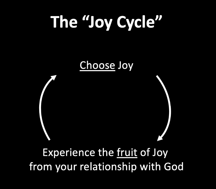 the joy cycle.png
