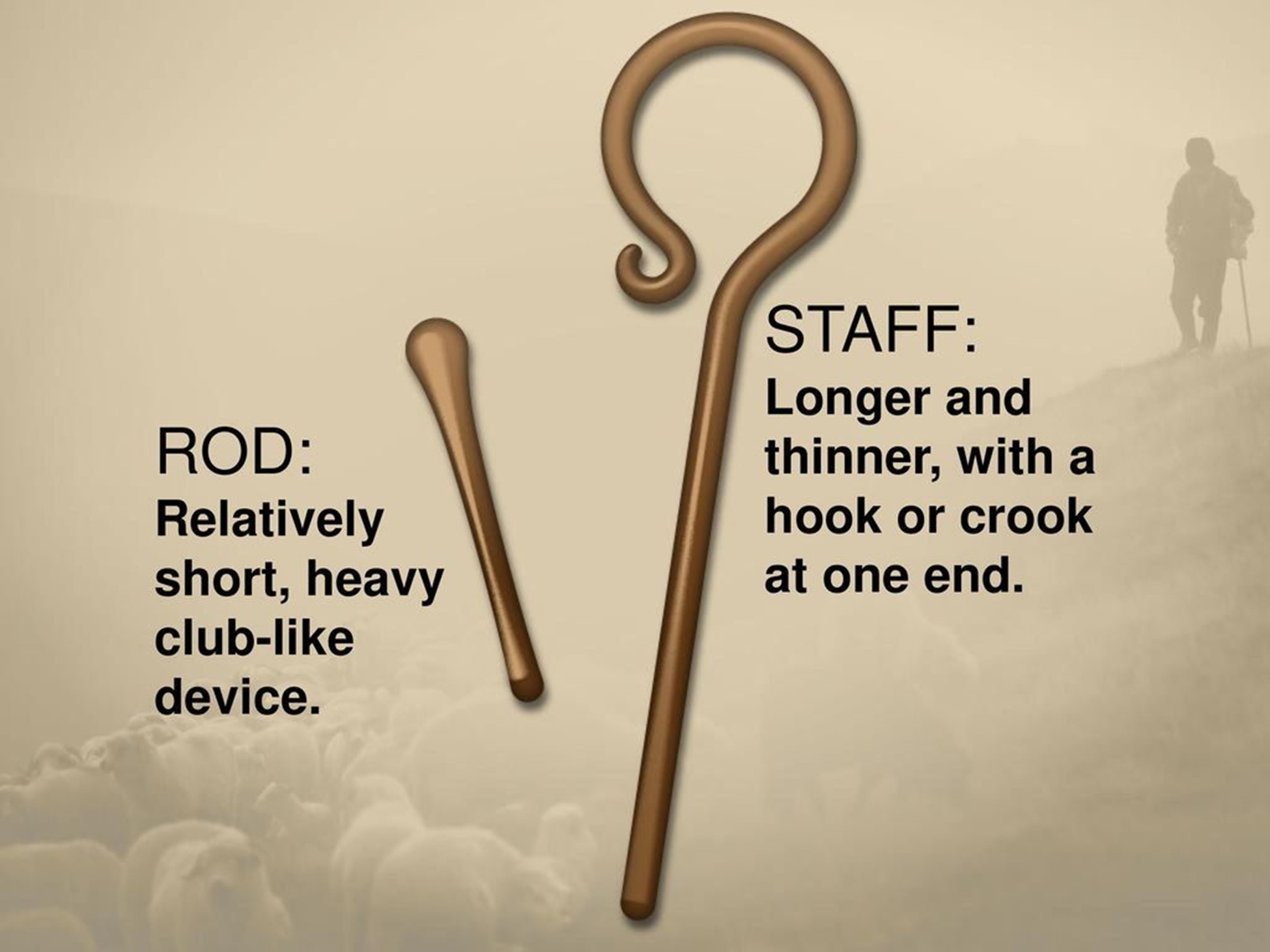 rod and staff.jpg