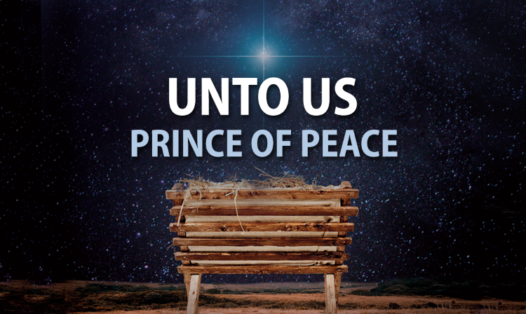 Christmas_2024_background_PoP_small.png