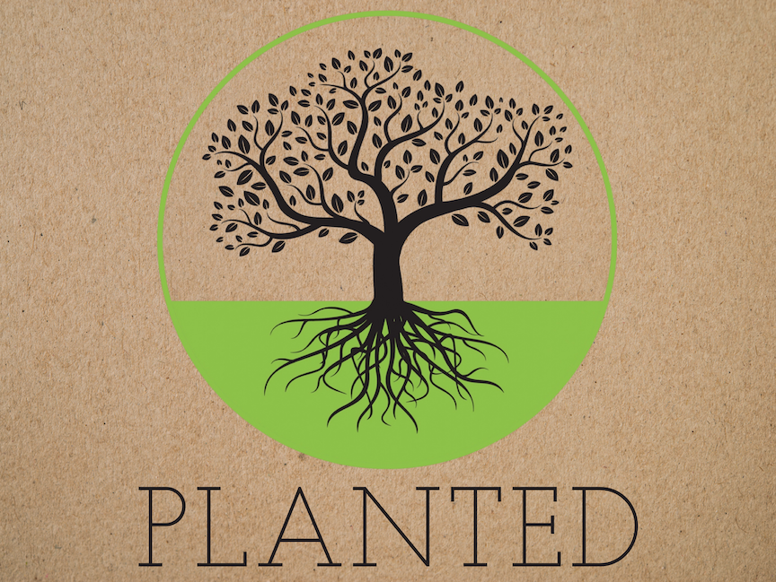 PLANTED copy.png