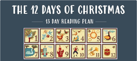 12 Days Reading Plan.png