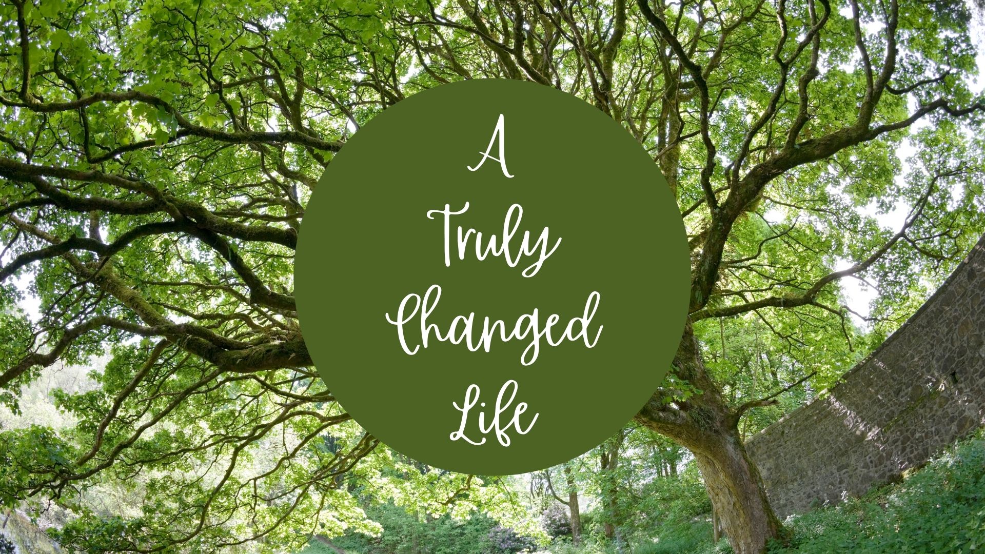 A Truly Changed Life wide.jpg