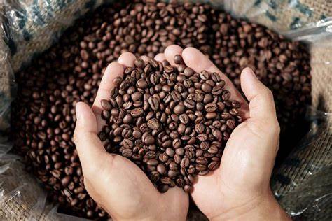 coffee beans.jfif