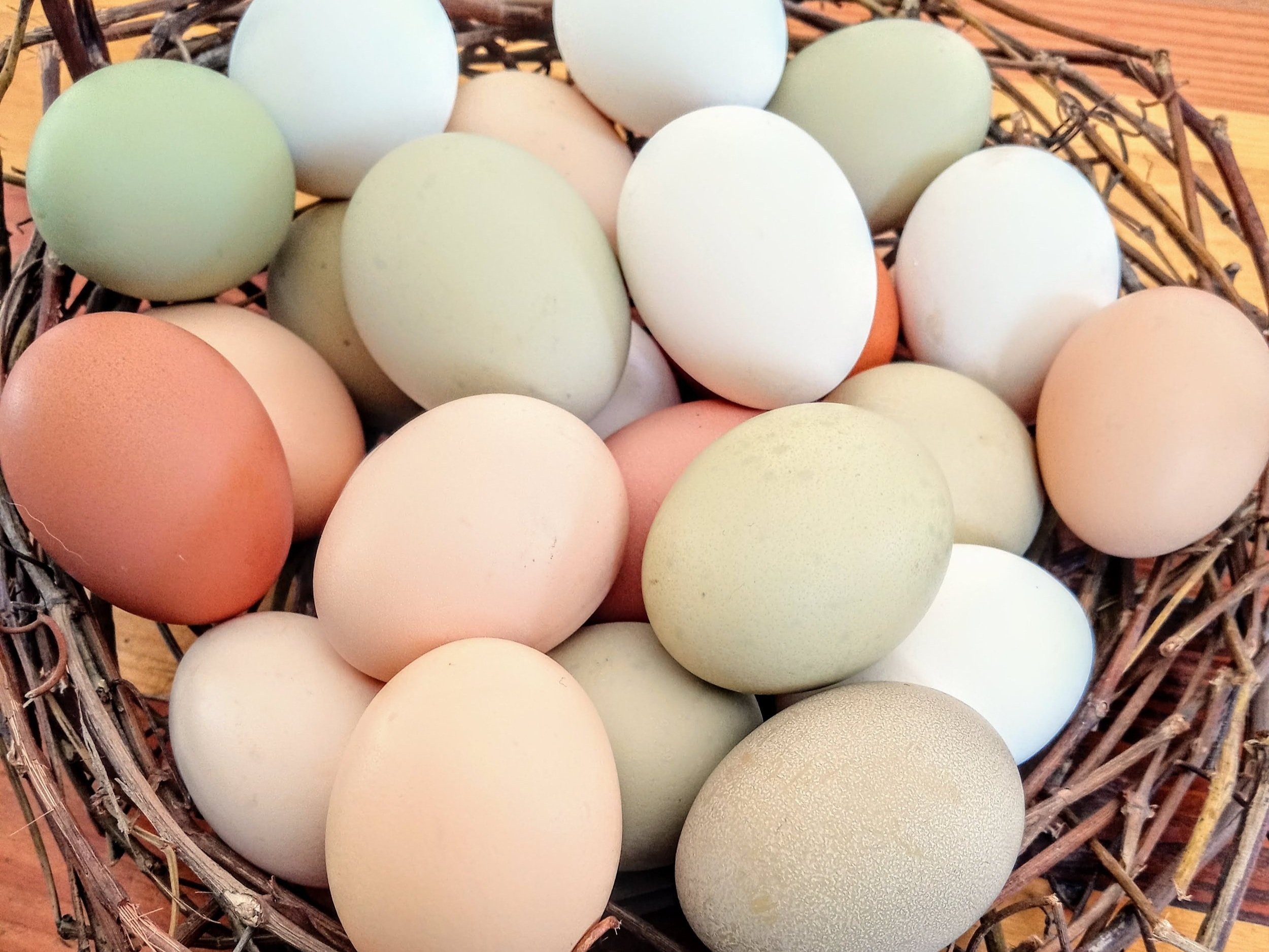 eggs.jpg