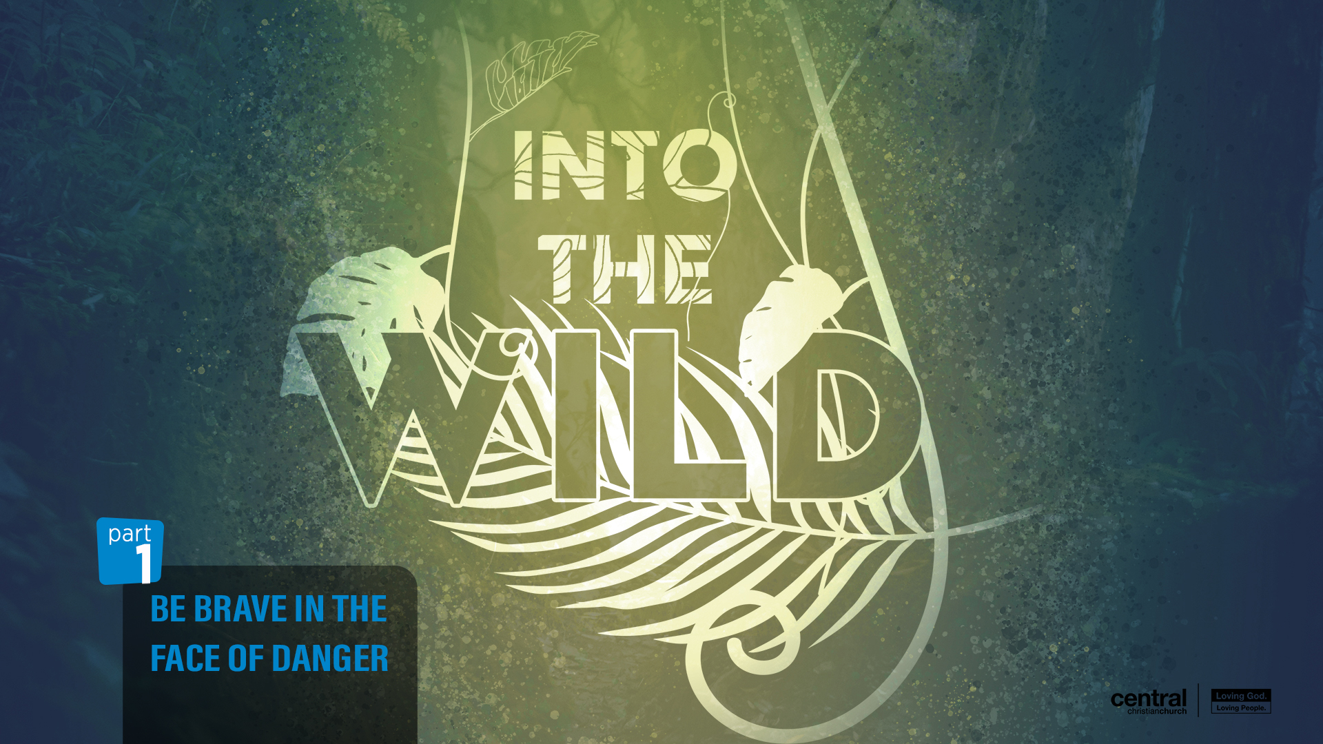 Into the Wild - Wide - 1.jpg