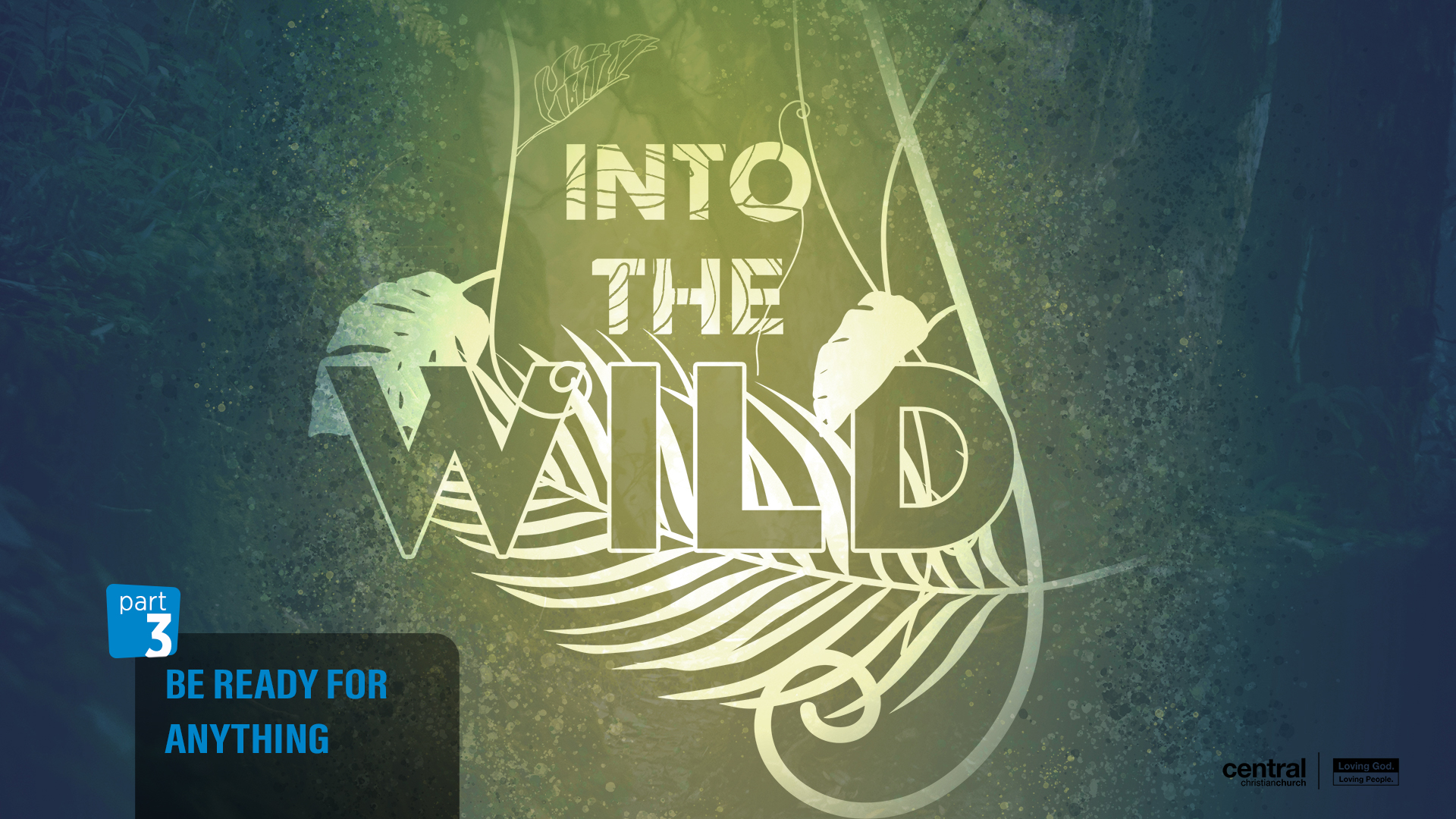 Into the Wild - Wide - 3.jpg