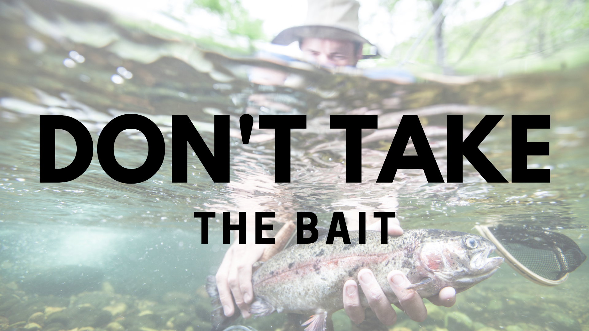 Take The Bait