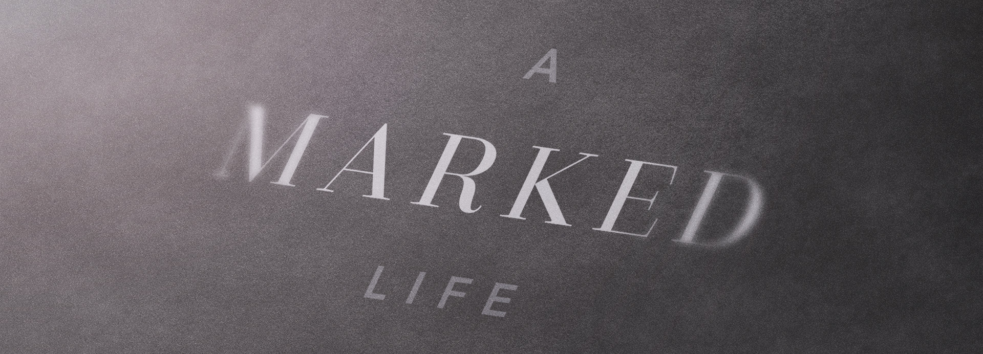 Series-A-Marked-Life-banner.jpg