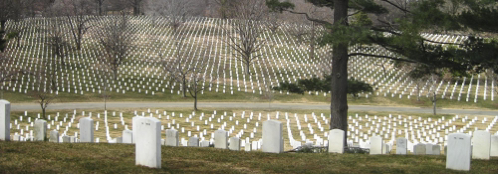 Arlington Stone.png