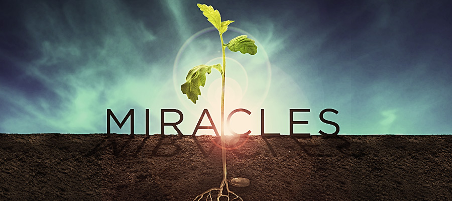 Miracles | Central Baptist Church