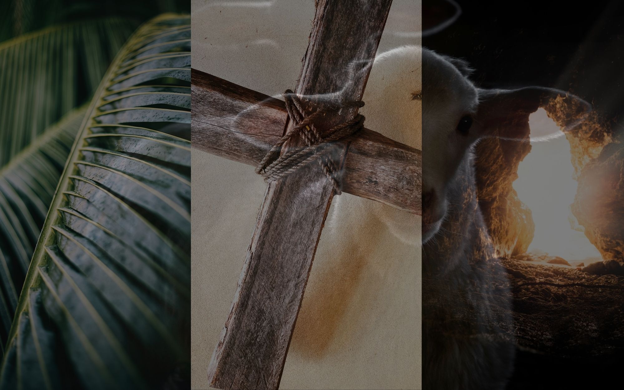 Palm Sunday.jpg