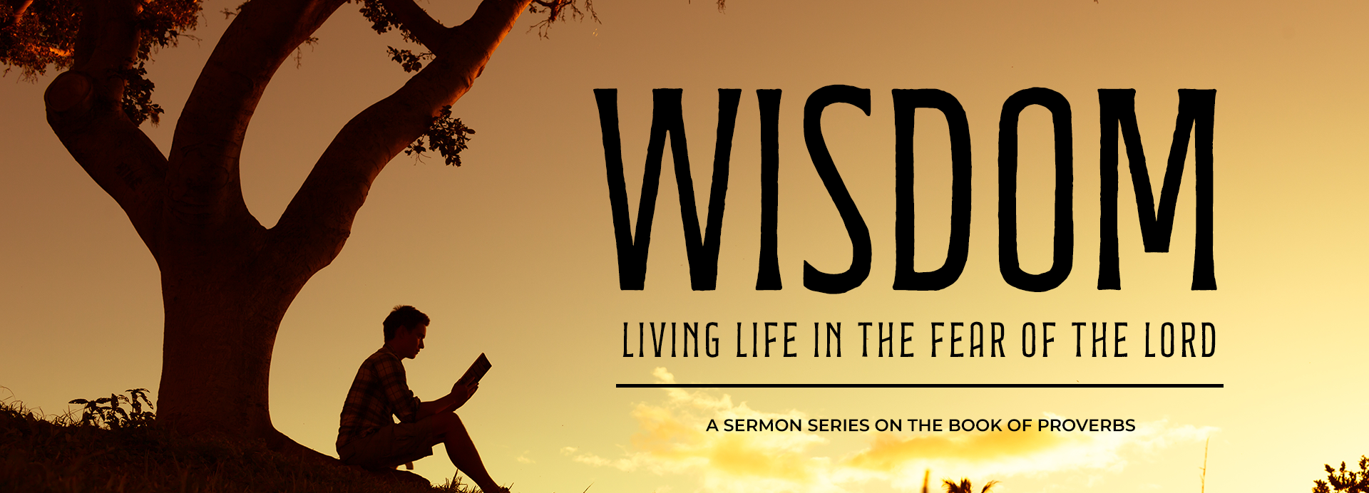 Wisdom 1920x692.png