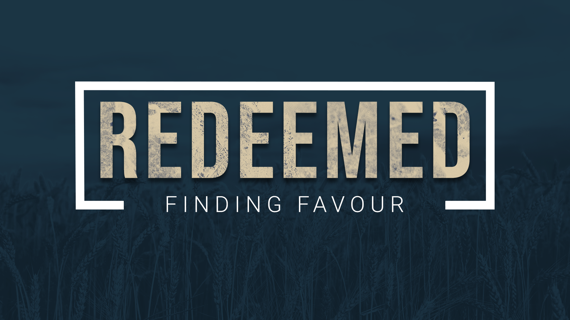 Finding Favour.png