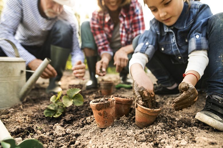 young-child-planting-with-parents-in-garden-in-page.jpg