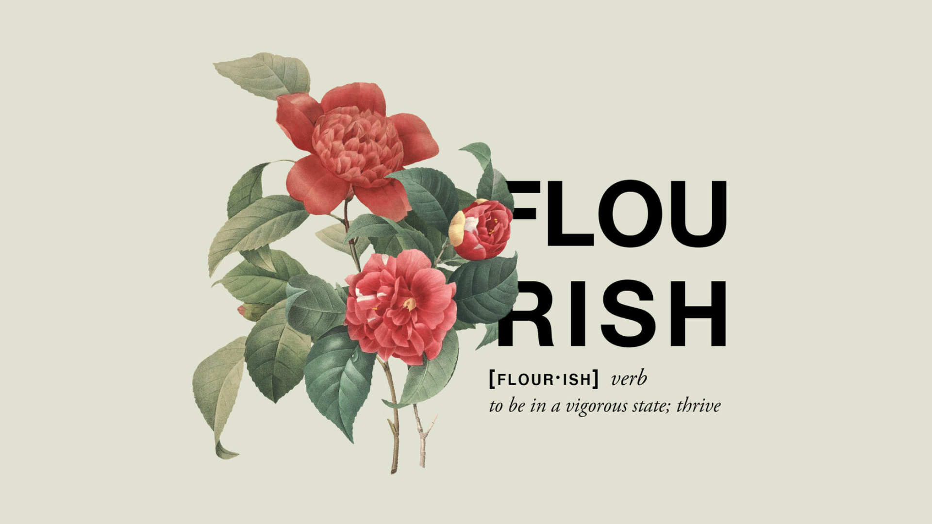 Flourish title.png