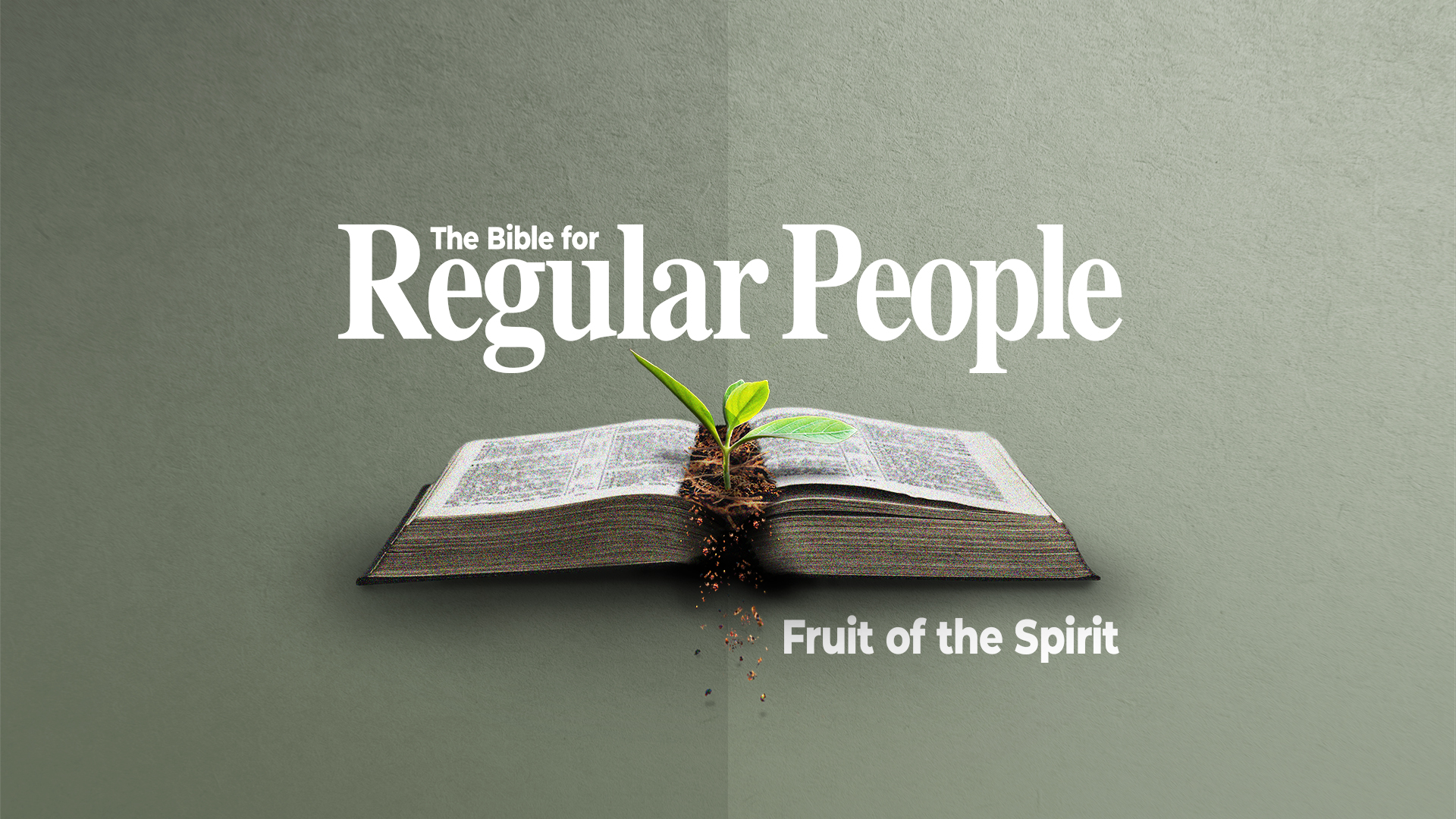 The Bible for Regular People GFX.jpg