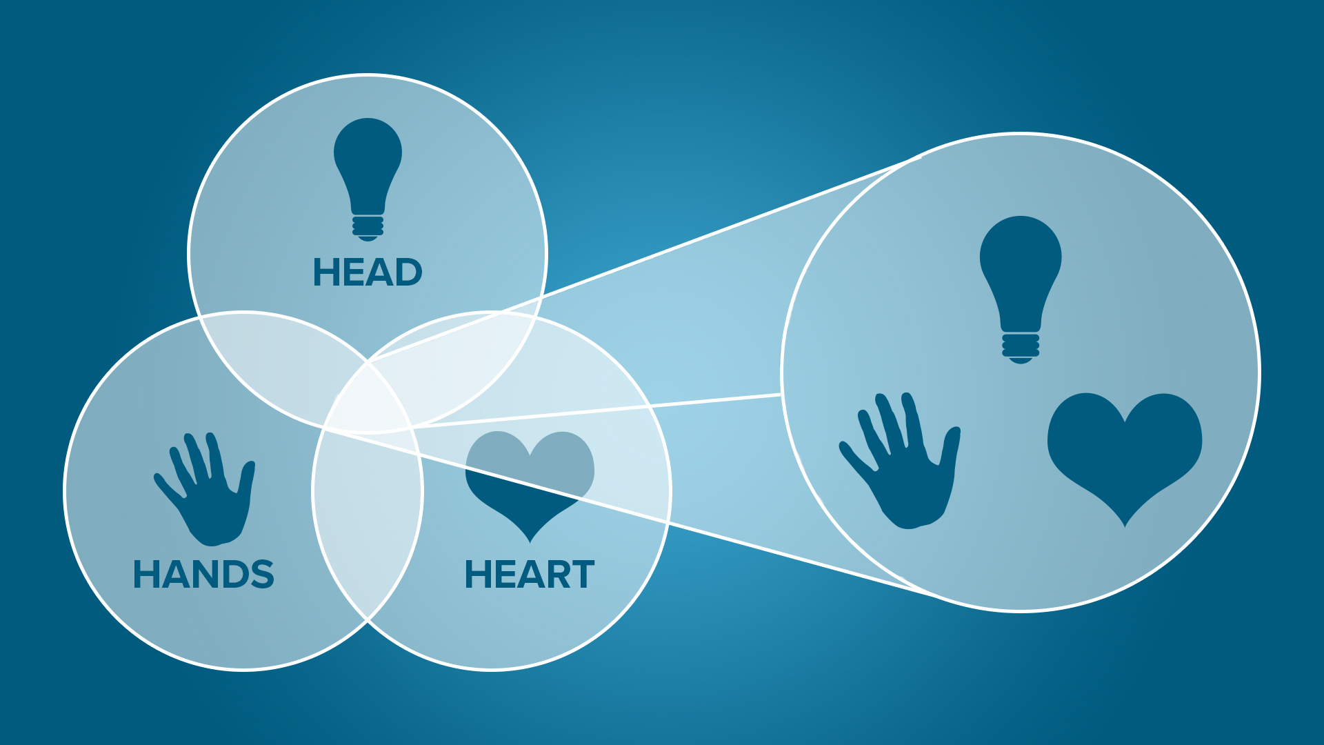 Circles Graphic.jpg