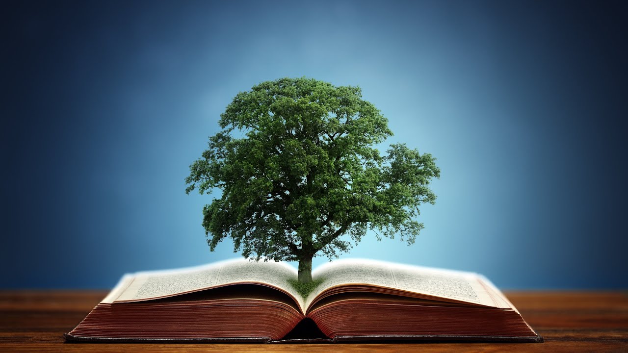 Tree Planted.jpg