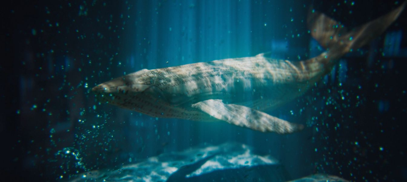 Whale.jpg