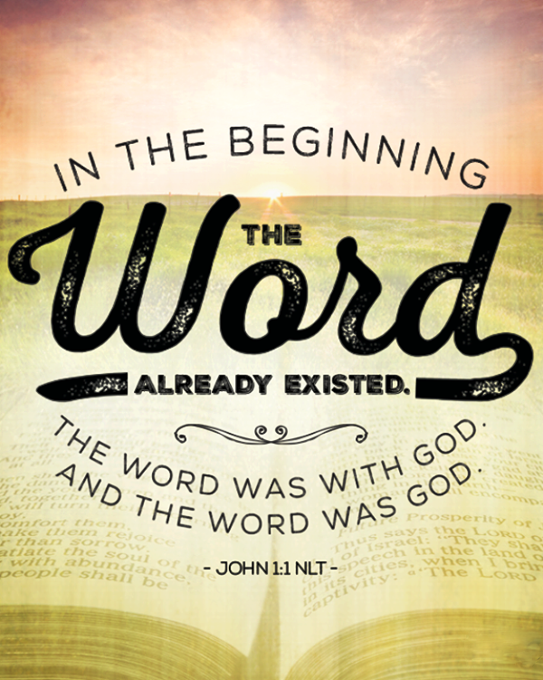 john11.png