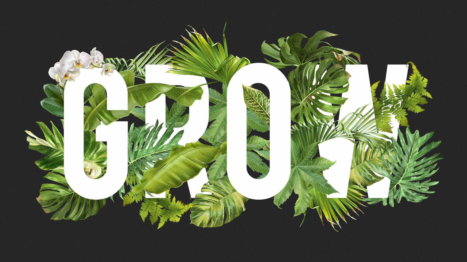 1920x1080.jpg