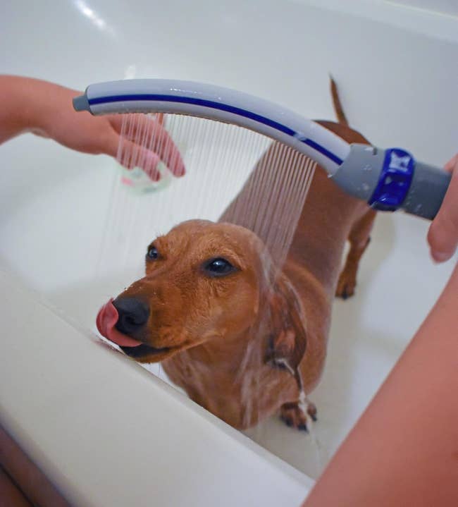 Slide1 - Curved Shower Attachment.jpeg