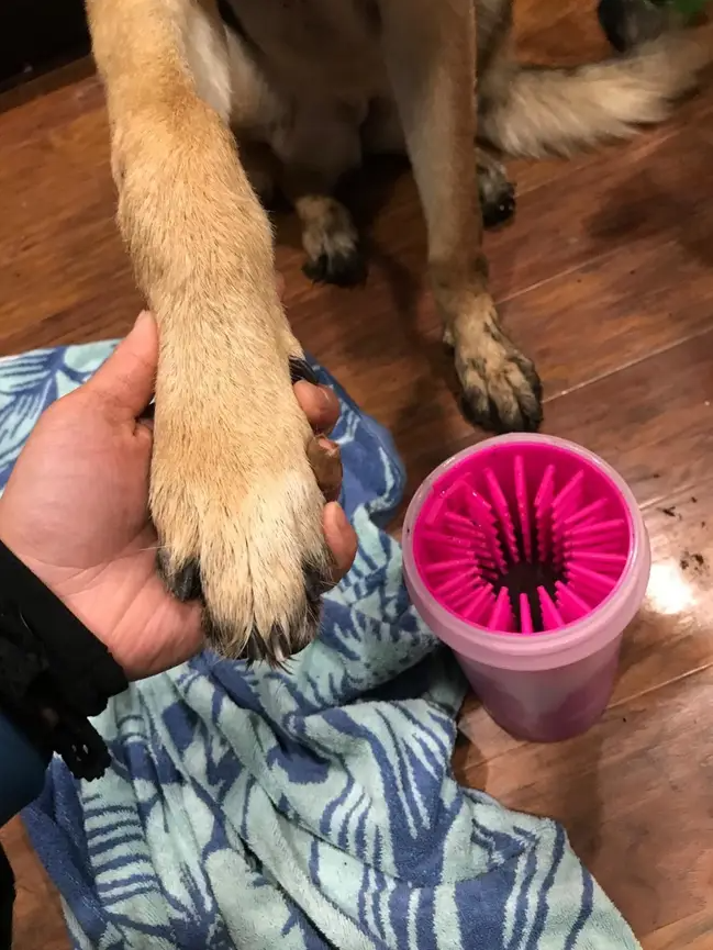 Slide5 - Portable Paw Washer.PNG