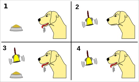 Pavlov's dog.jpeg
