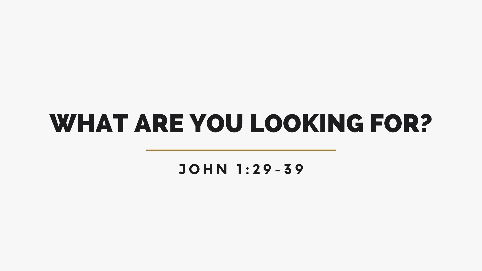 Sunday October 20 What Are You Looking For.jpg