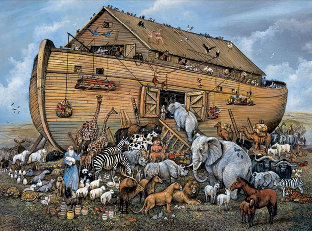 NOAH.jpg