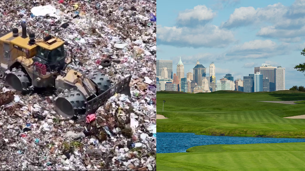 side by side.jpg