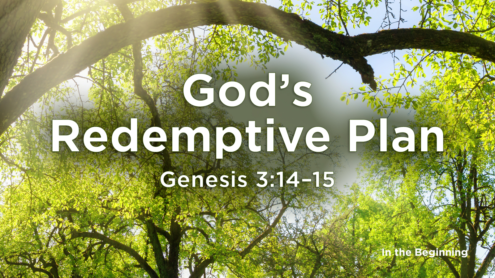 WS God’s Redemptive Plan.jpg