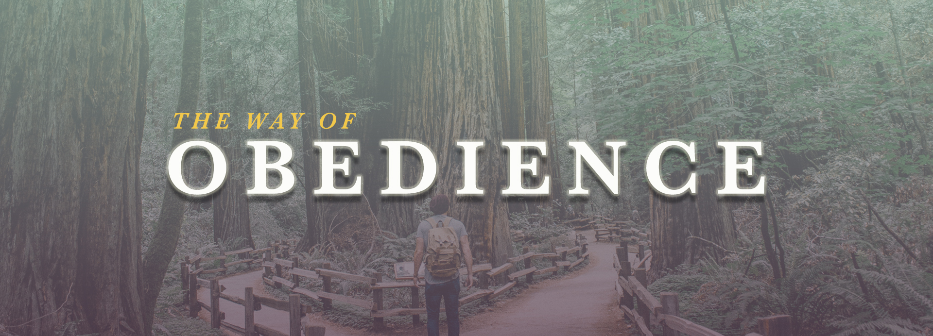 OBEDIENCE2Banner-1.jpg