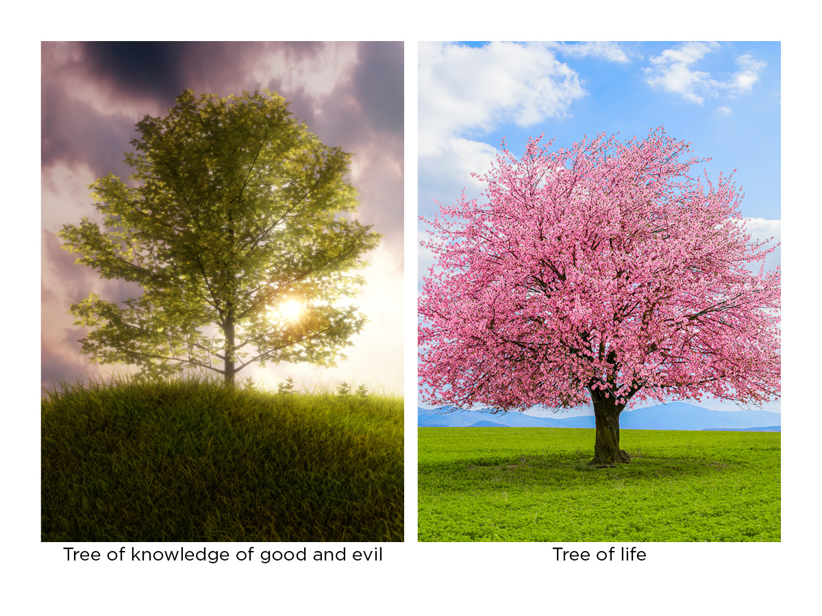 Tree of Life and Tree of Knowledge.jpg