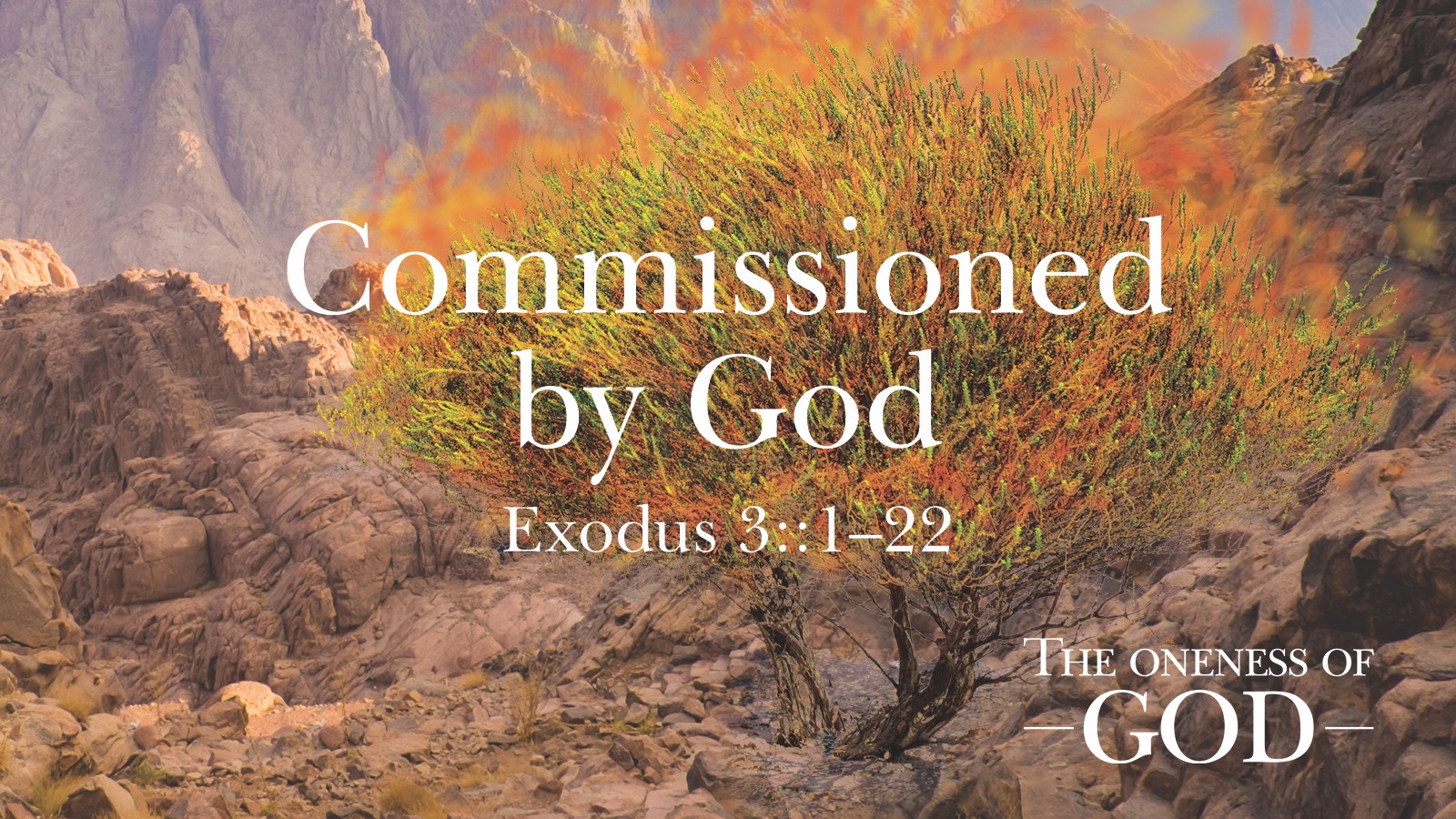 WS_CommissionedByGod.jpg