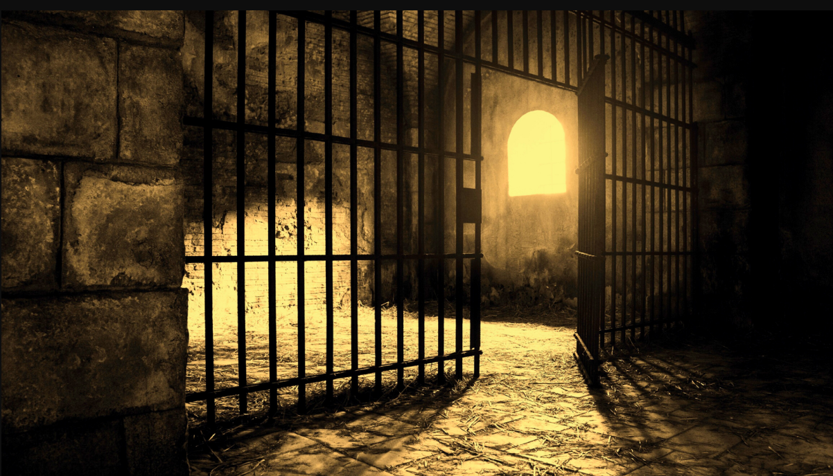 Screenshot (73).png