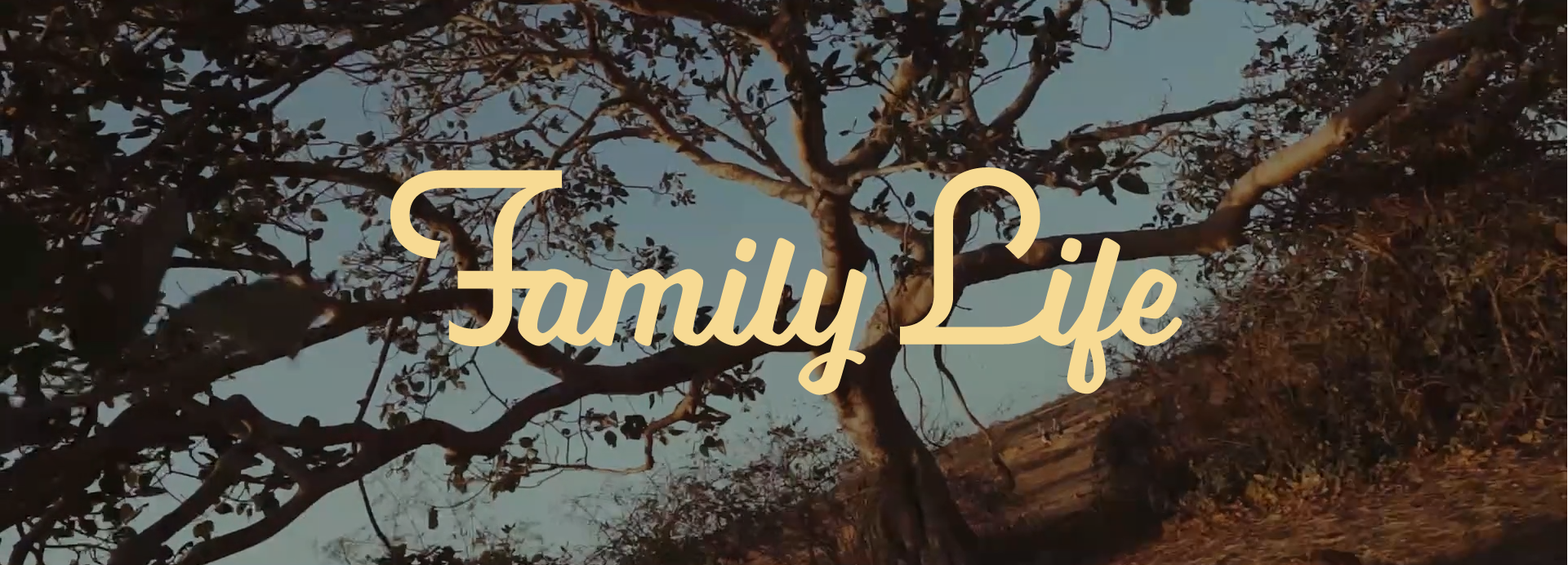 Family Life Artwork_BANNER.png